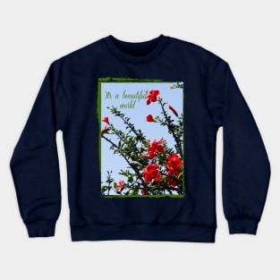 beautiful world with hibiscus tree on the blue sky into vintage frame Crewneck Sweatshirt